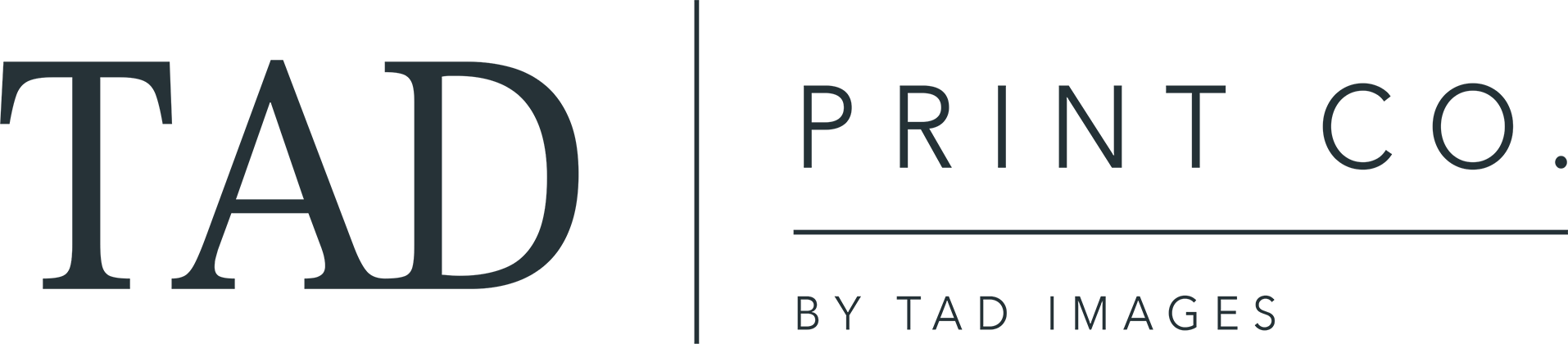 logo-img
