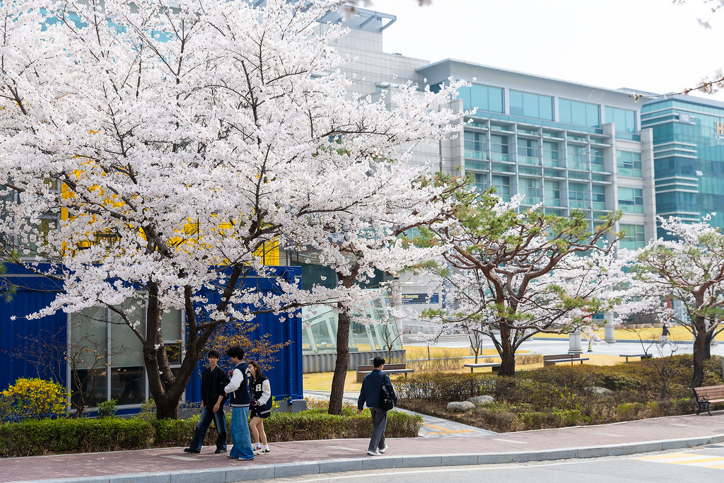 International students at Hanyang University
